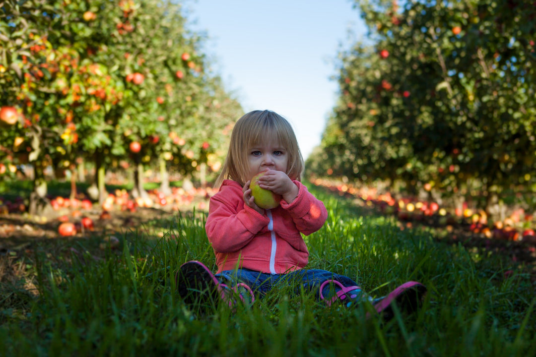 Pure Apple: 100 % Organic Cold-Pressed local apple juice.
